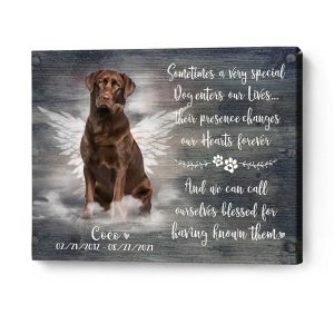 Personalized Memorial Pet Poster Canvas Sometimes A Very Special Upload Photo Printnd