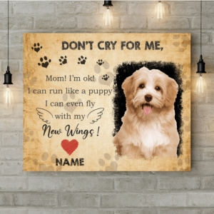 Don't Cry For Me Memorial Pet Upload Photo Personalized Poster Canvas Printnd